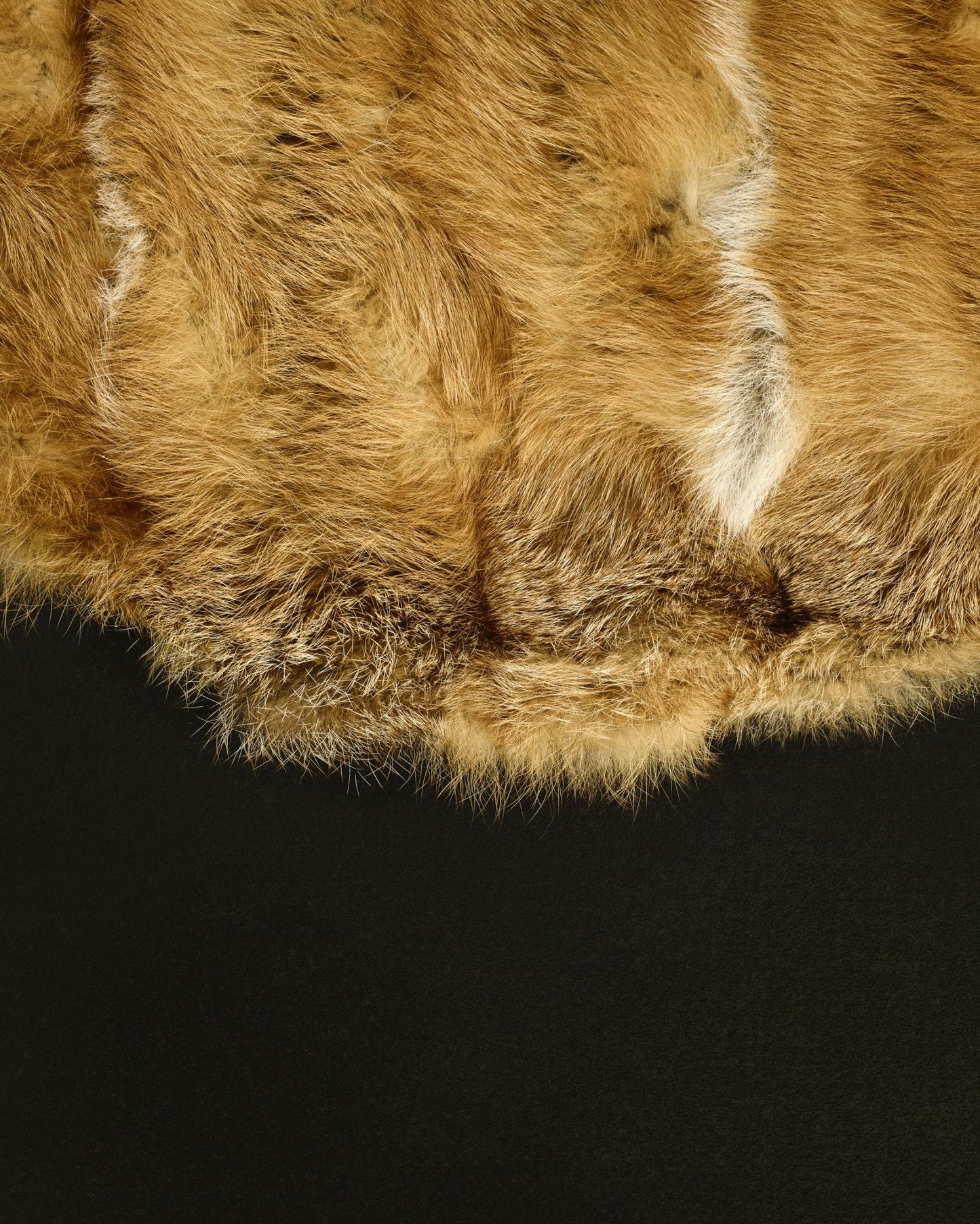 DIMORE - Tapis renard roux canadien & flancs de renard noir -Yves Salomon Editions